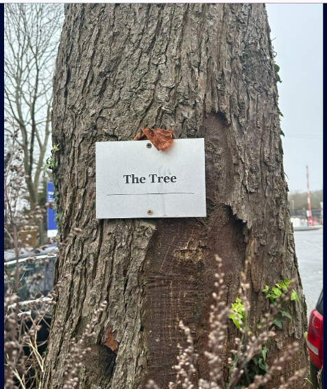 The Tree